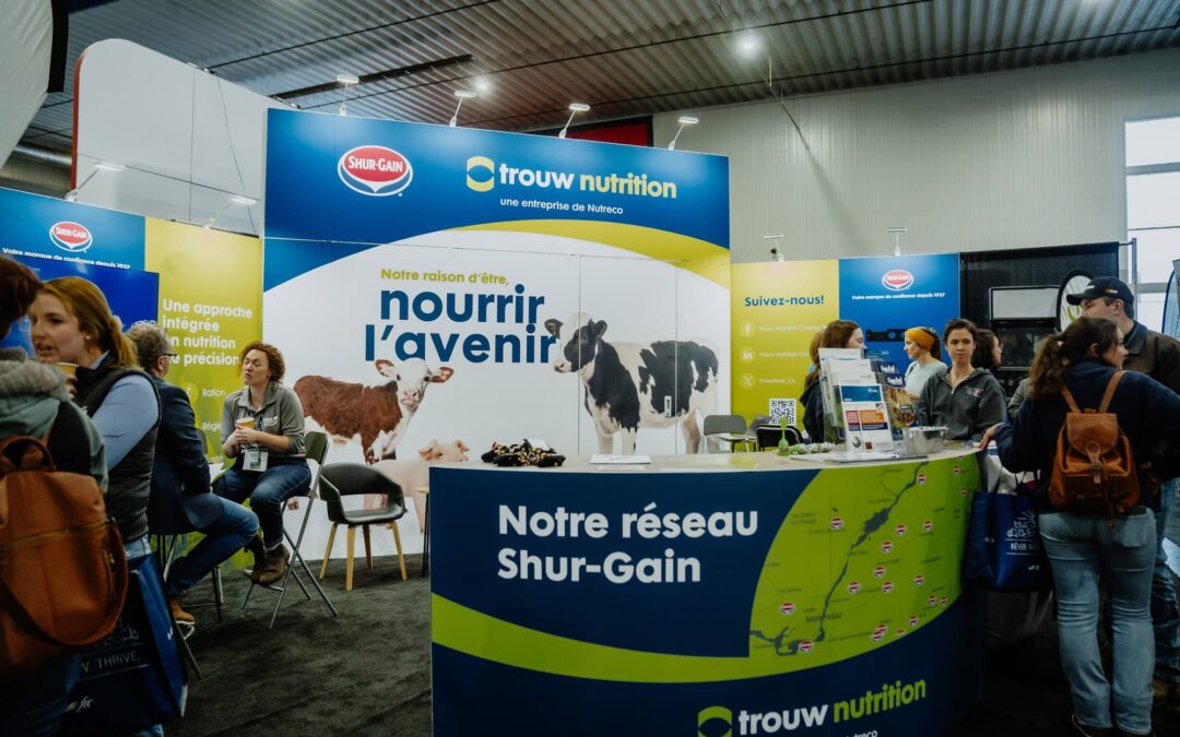 Nourrir l’avenir – Kiosque modulable et évolutif
